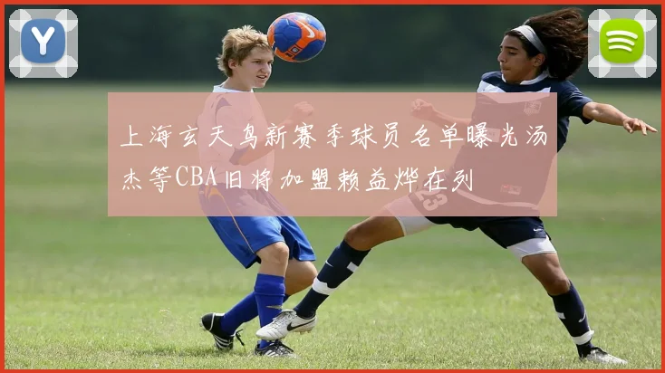 上海玄天鸟新赛季球员名单曝光汤杰等CBA旧将加盟赖益烨在列