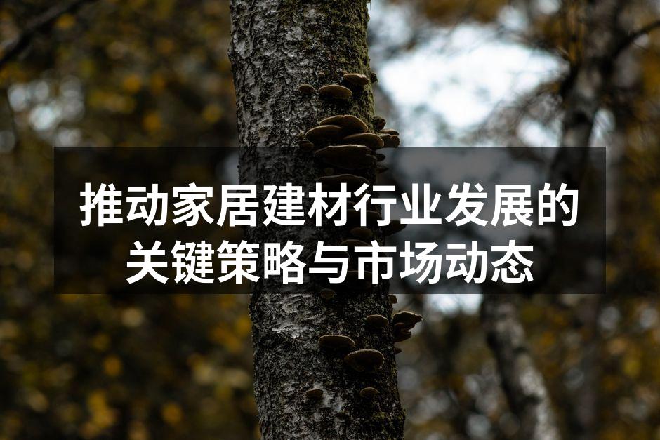企业展厅展示最新建材产品